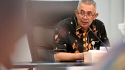 Ekonomi Inklusif Dimulai dari Akses Keuangan, TPAKD Jadi Andalan Sumut