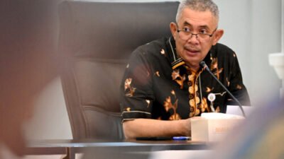 Ekonomi Inklusif Dimulai dari Akses Keuangan, TPAKD Jadi Andalan Sumut