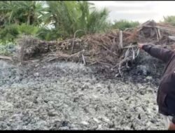 Isu Tambang Ilegal di Batubara Terbantah, Galian Dusun Sentosa Cetak Sawah Untuk Ketahanan Pangan