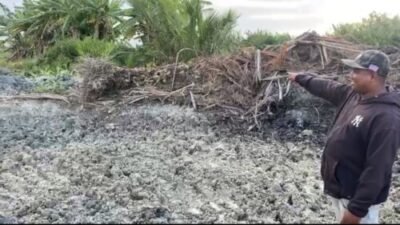 Isu Tambang Ilegal di Batubara Terbantah, Galian Dusun Sentosa Cetak Sawah Untuk Ketahanan Pangan