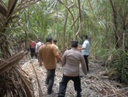 Operasi Narkoba Polsek Medang Deras, Temukan Barang Bukti, Pelaku Kabur