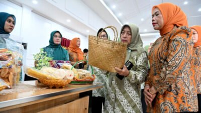 Dari Desa Untuk Indonesia Emas, PKK Sumut Perkuat Peran Kader