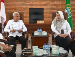 Akhiri Tugas di Sumut, Fatmawati Dapat Apresiasi dari Pemprov Sumut