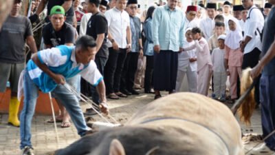 Sholat Iduladha 1447 H di Kota Binjai, Pemprov Sumut Salurkan 167 Hewan Qurban