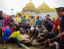 Pemkab Batubara Sholat Iduladha 1447 H di Tanjung Tiram