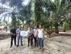 Idul Adha 1447 H, Inalum Tebar 107 Qurban ke Lima Wilayah Operasional