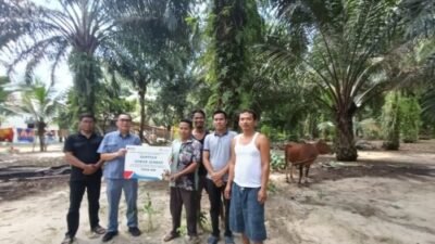 Idul Adha 1447 H, Inalum Tebar 107 Qurban ke Lima Wilayah Operasional