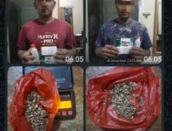 GSN di Kwala Gunung, Polisi Batubara Sita Ganja dan Alat Hisap Sabu Dari Dua Pelaku