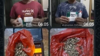 GSN di Kwala Gunung, Polisi Batubara Sita Ganja dan Alat Hisap Sabu Dari Dua Pelaku