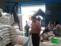 Bulog Asahan Serap Ratusan Ton Jagung Batubara