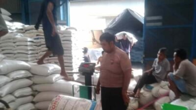 Bulog Asahan Serap Ratusan Ton Jagung Batubara