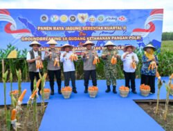 Wabup Sumut Ikuti Panen Jagung 1,23 Juta Ton, Presiden: Jaga Ketahanan Negara