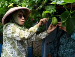 Dari Administrasi Hingga Ketahanan Pangan, Jadi Evaluasi PKK Sumut di Karo
