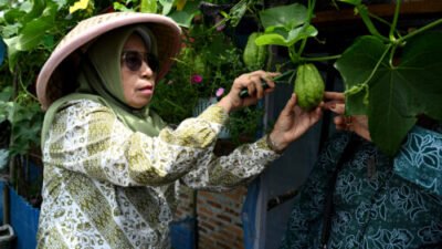Dari Administrasi Hingga Ketahanan Pangan, Jadi Evaluasi PKK Sumut di Karo