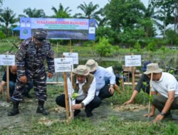 Pemprov Sumut Target Tanam Mangrove 27 Ha, Tekan Dampak Perubahan Iklim