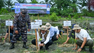Pemprov Sumut Target Tanam Mangrove 27 Ha, Tekan Dampak Perubahan Iklim
