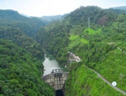 Dari Danau Toba Hingga Pesisir Batubara, Inalum Aksi Pelestarian Lingkungan