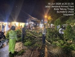 Pohon Tumbang Tutup Jalan Ahmad Yani, Polisi Tebing Tinggi dan DLH Lakukan Evakuasi