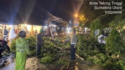Pohon Tumbang Tutup Jalan Ahmad Yani, Polisi Tebing Tinggi dan DLH Lakukan Evakuasi