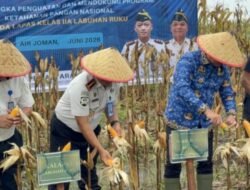 Wabup Asahan Apresiasi Panen Jagung Lapas Labuhan Ruku di Air Joman