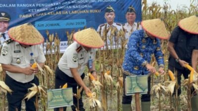 Wabup Asahan Apresiasi Panen Jagung Lapas Labuhan Ruku di Air Joman