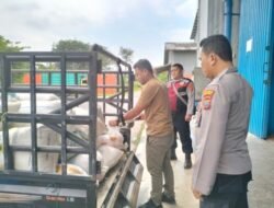 Serapan Jagung Dari Batubara Tembus 274 Ton
