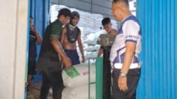 Serapan Jagung Batubara Tembus 220 Ton