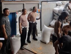 232,575 Ton Jagung Batubara Masuk ke Bulog Asahan