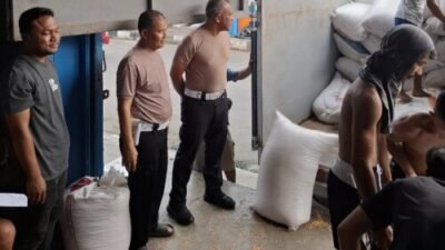 232,575 Ton Jagung Batubara Masuk ke Bulog Asahan