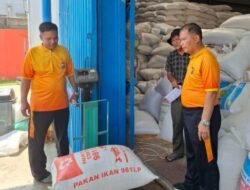 Jagung Batubara Tembus 254 Ton Masuk Bulog Asahan