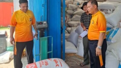 Jagung Batubara Tembus 254 Ton Masuk Bulog Asahan