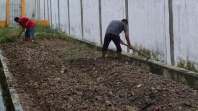 Lapas Labuhan Ruku Sulap Lahan Sempit Jadi Kebun Produktif