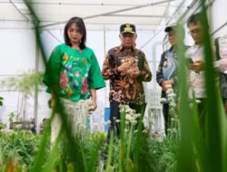 Wagub Sumut Dampingi Temasek Singapura Tinjau Potensi Investasi TSTH2 Humbahas