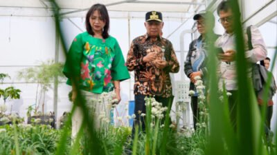 Wagub Sumut Dampingi Temasek Singapura Tinjau Potensi Investasi TSTH2 Humbahas