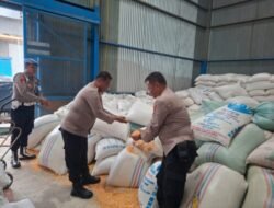 281,233 Ton Jagung Petani Batubara Masuk Bulog Asahan