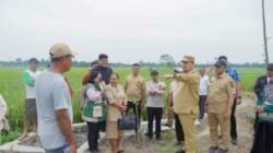 Modernisasi Pertanian Batubara Lewat Program PM-AAS