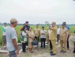 Modernisasi Pertanian Batubara Lewat Program PM-AAS