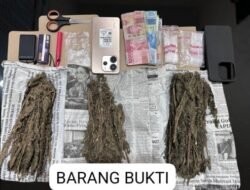 Sabu 4,60 Gram dan Ganja 246 Gram Disita Polisi Batubara