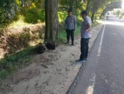Polisi Evakuasi ODGJ Yang Tidur di Tengah Jalan di Batubara