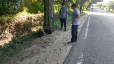 Polisi Evakuasi ODGJ Yang Tidur di Tengah Jalan di Batubara