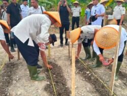 Lapas Labuhan Ruku Tanam Jagung Lagi Usai Panen Perdana 5,5 Hektare