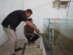 Mahasiswa KKN UGM di Asahan Sulap Limbah Makanan Jadi Maggot dan Pakan Ternak