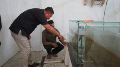 Mahasiswa KKN UGM di Asahan Sulap Limbah Makanan Jadi Maggot dan Pakan Ternak