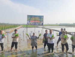 Batubara Ikuti Gerakan Tanam Serempak Untuk Tingkatkan Produksi