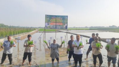 Batubara Ikuti Gerakan Tanam Serempak Untuk Tingkatkan Produksi
