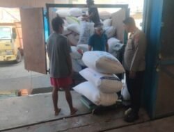 351,8 Ton Jagung Batubara Masuk Bulog Asahan