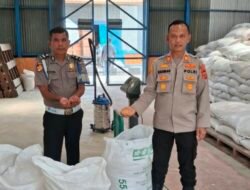 Polres Batubara Salurkan 12,3 Ton Jagung ke Bulog, Total Tembus 340,1 Ton