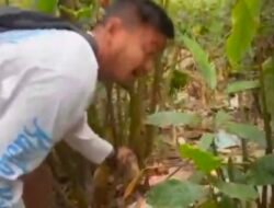 21 Paket Sabu dan 46 Paket Ganja Disita, Polisi Deli Serdang Buru Jaringan