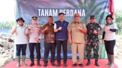 181 Petani Asahan Ikuti PSR, Sawit 40 Tahun Diremajakan, 86 Hektare Untuk Padi Gogo