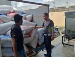 426,9 Ton Jagung dari Batubara Masuk Bulog Asahan